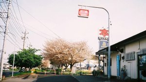Япония на фотоплёнке.  Уличное фото жизни в Японии. Выпуск 21