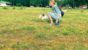 Ши цу - прогулка