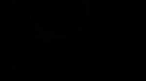 Определение сухого вещества в кормах