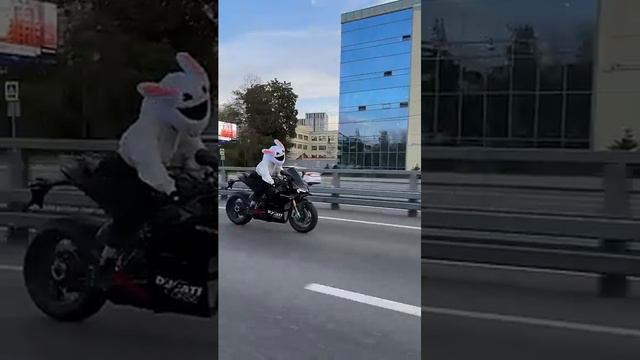 ПОГОНЯ ЗА ЗАЙЦЕМ НА МОТОЦИКЛЕ😂🐰 #мотоТаня