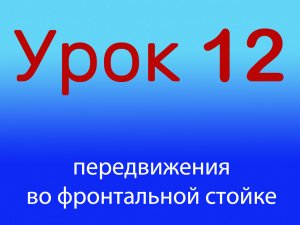 Урок 12 Передвижения во фронтальной стойке, уровень 1/4.