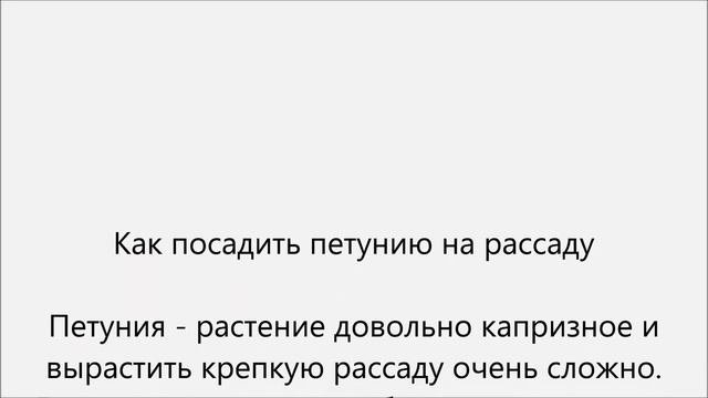 Как посадить петунию