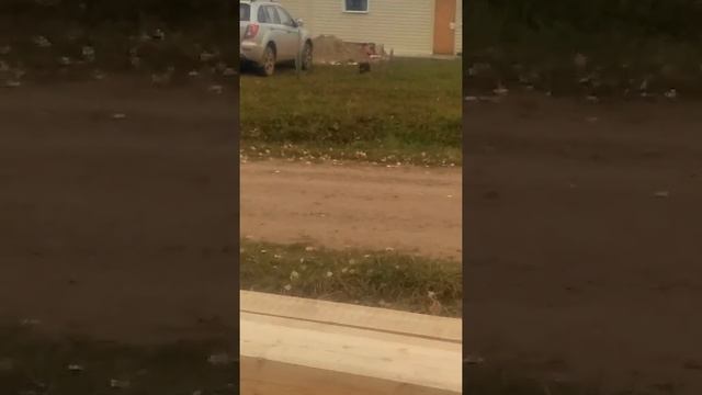 Кладка заборных столбов. смотреть онлайн