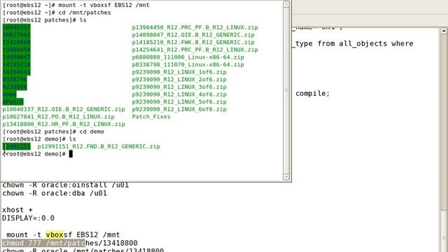 How to apply a patch in Oracle E Business Suite - Patching and Maintenance - 8/8 смотреть онлайн