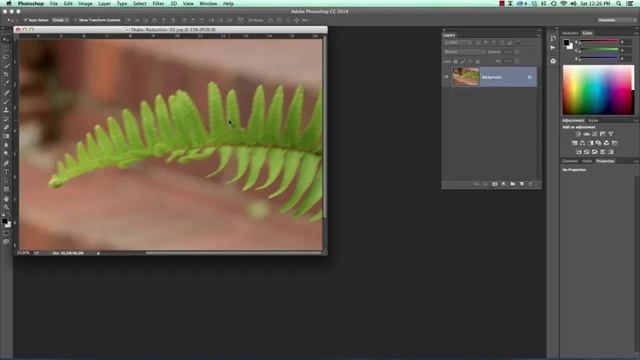 Using the Shake Reduction Filter in Photoshop CC 2014 смотреть онлайн