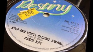 Stop And You'll Become Aware ~ Carol Kay