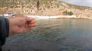 Рыбалка в Балаклаве. Окунь на бомбарду