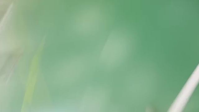 Видеоурок №9