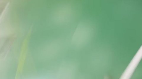 Видеоурок №9