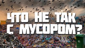 ЧТО НЕ ТАК С МУСОРОМ?