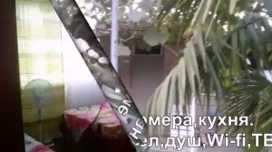 Приморское Абхазия
