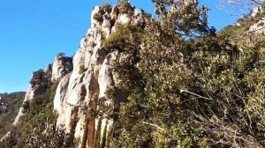 АФОН! ЖИЗНЬ ОТШЕЛЬНИКА!