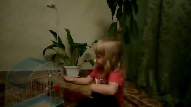 отгадай кто？учим насекомых,животных смотреть онлайн