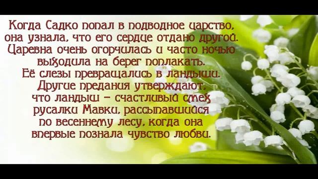 Одна есть в мире красота