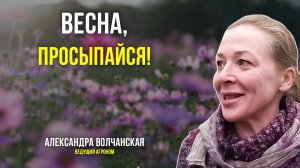 В Ботаническом саду "разбудили" сирень, тюльпаны, ландыши и первоцветы