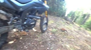 Кроссовые шины Mitas TERRA FORCE-MX на MINSK X250