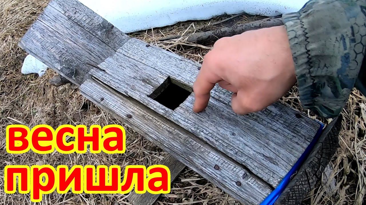 Повесил скворечник. Сгонял на дело. смотреть онлайн