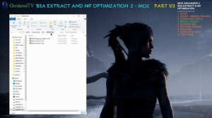 BSA Extracting NIF Optimizer and BSarch - Immersive Armors - PART 1 of 3