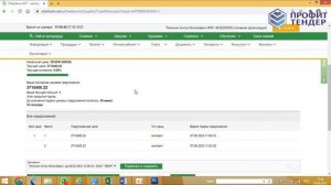 Аукцион на торговой площадке Сбербанк-АСТ. Случайный выигрыш! Неопытный участник.