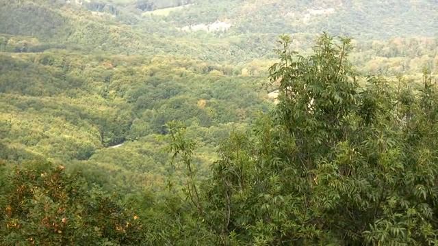 Ой, цветет калина в поле у ручья. Русская народная песня. смотреть онлайн