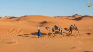 Узбек маруза