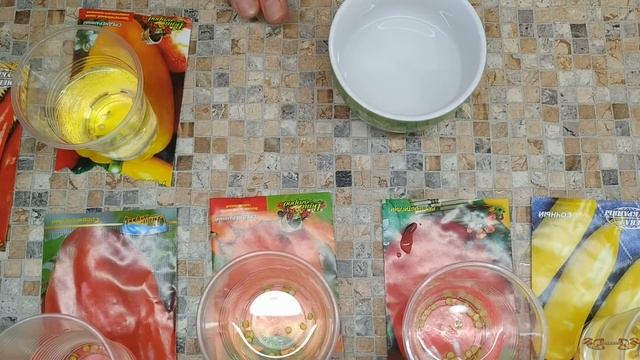 Посев перца на рассаду. Способ для проращивания семян перца, который никогда не подводит