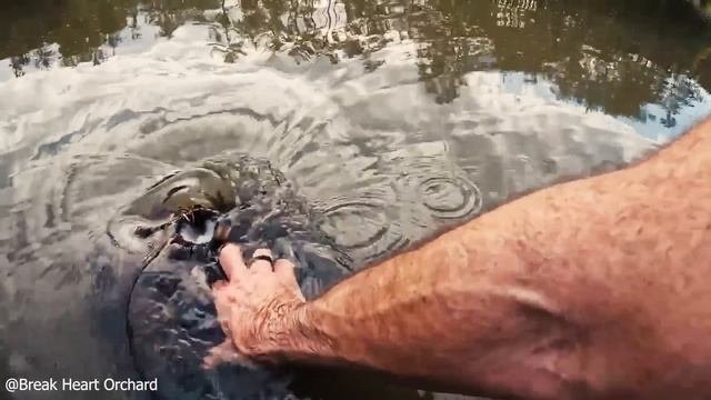 Best Drain Unclogging Compilation #11