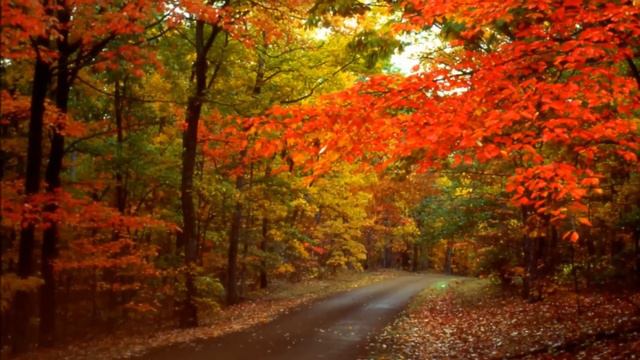 Удивительная красота природы и музыки смотреть онлайн