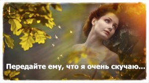 Передайте ему, что я очень скучаю... | Стихи о любви