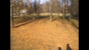 Осенняя Елатьма