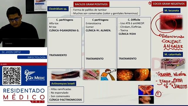 INFECTOLOGIA   BACTERIAS DE IMPORTANCIA CLINICA COCOS Y BACILOS GRAM + Y -