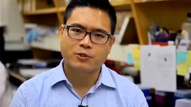 Forward Genetic Approaches in Chlamydia trachomatis | Protocol Preview смотреть онлайн