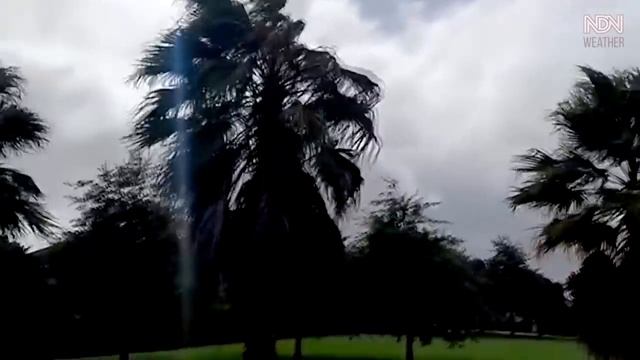 100,000 people affected by Cyclone Dovi in Northland, New Zealand смотреть онлайн