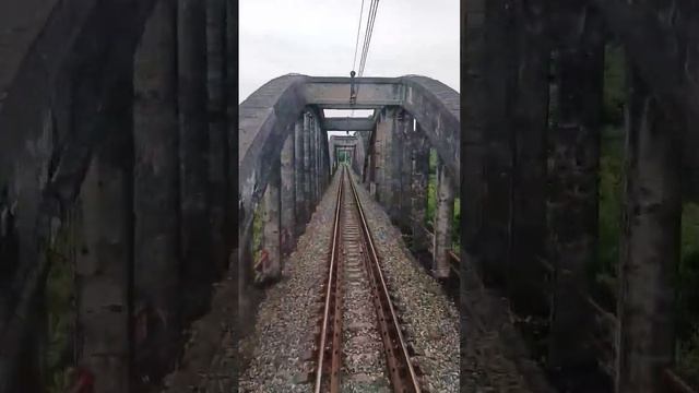 Абхазия Сухум Гумиста #shorts смотреть онлайн