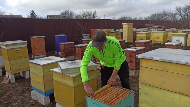 Что должно быть у каждого пасечника. пчеловодство для начинающих. золотой запас пчеловода смотреть онлайн