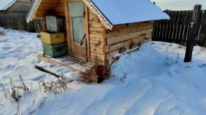 зимовка пчел в апидомике, Сибирь