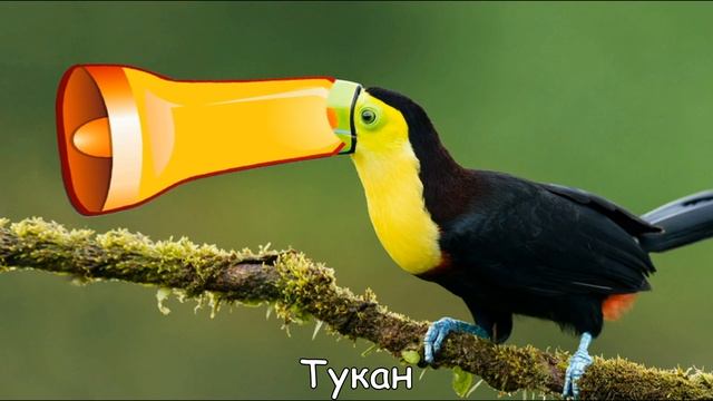 ✅ Варианты школьного звонка