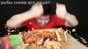 знаки зодиака как никокадо авокадо