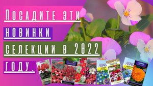 Посадите эти новинки селекции в 2022 году. ??