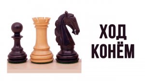 Видеоистория «Ход конём» к Международному дню шахмат (12+)