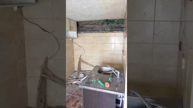 #орхидеи в доме со скорпионами смотреть онлайн