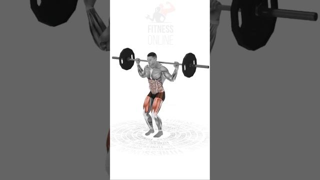 Приседания со штангой/Squats смотреть онлайн