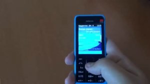 Обзор Nokia 301