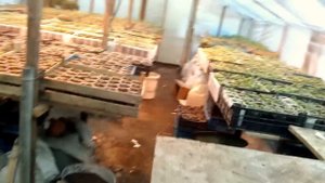 Отопление теплицы печью на отработанном масле