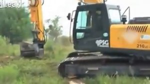 Пилим деревья