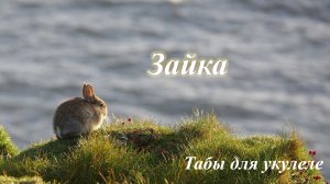 Зайка - табы для укулеле