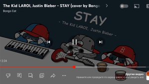 моя любимая музыка! Stay в исполнении Bongo cat 🐈