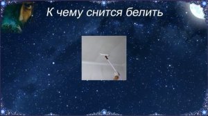 К чему снится Белить (Сонник)