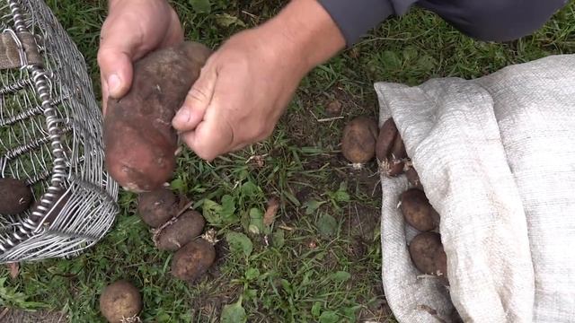 "Хочется приносить пользу людям" смотреть онлайн