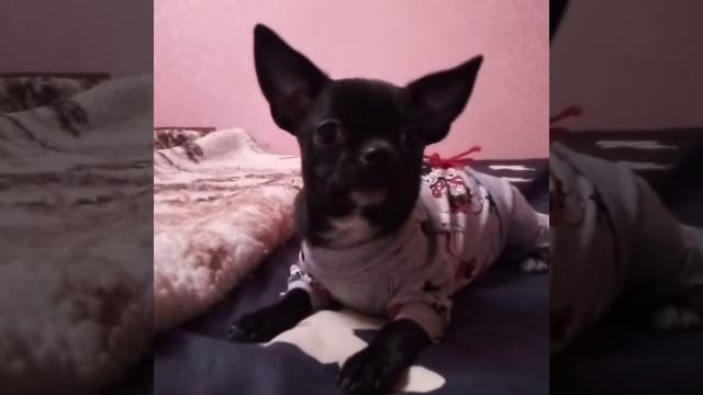 Ищем любящих родителей для девочки. Документы РКФ. смотреть онлайн